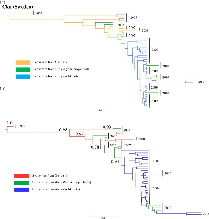 Fig. 6