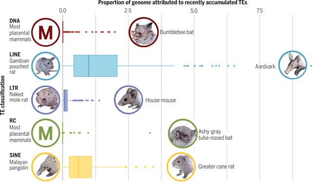 graphic file with name nihms-1896914-f0007.jpg