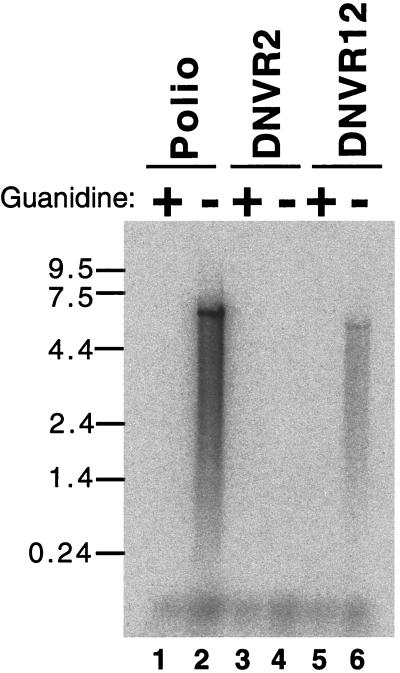 FIG. 8