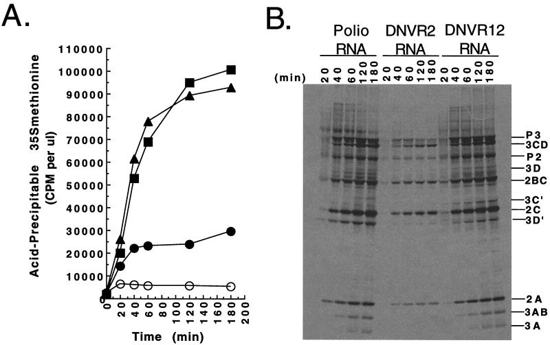 FIG. 7