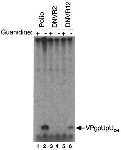 FIG. 10