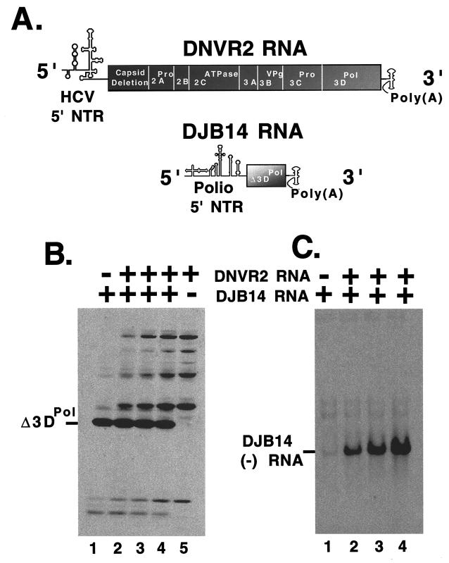 FIG. 5