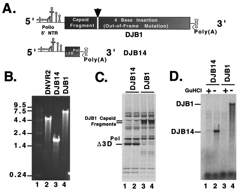 FIG. 6