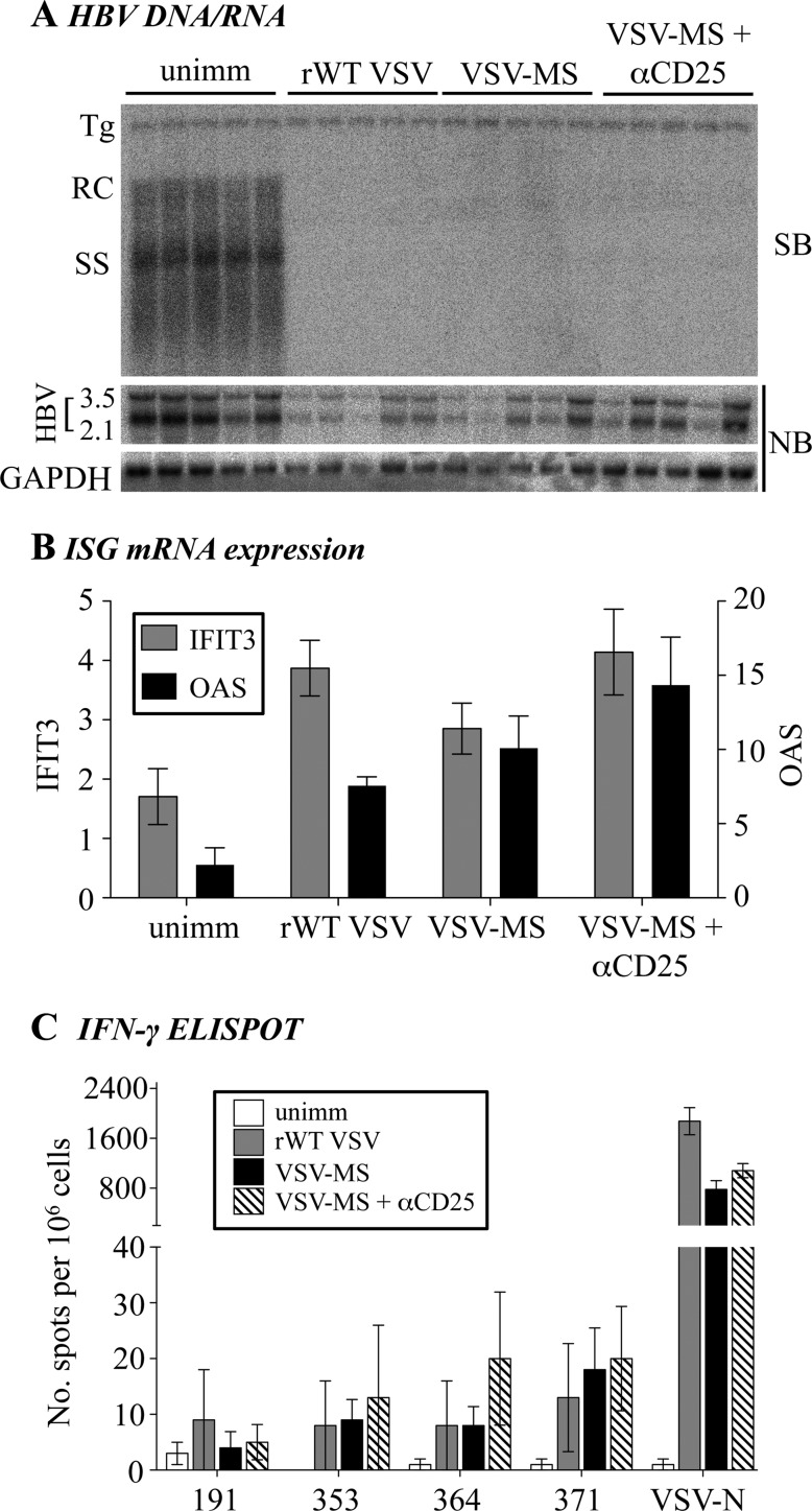 Fig 5