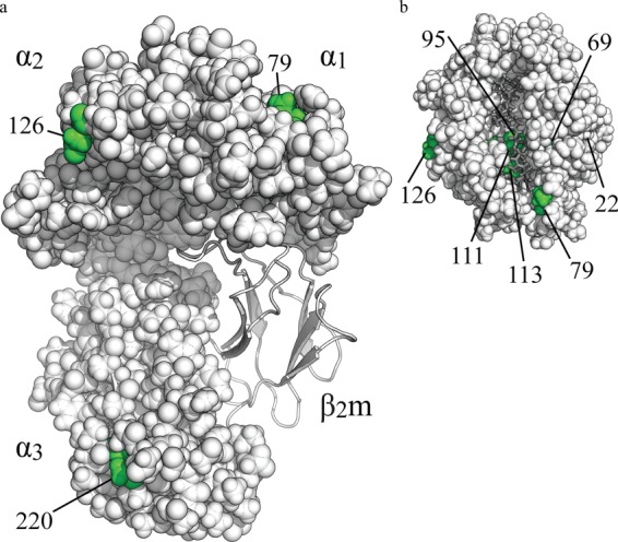 FIGURE 1.