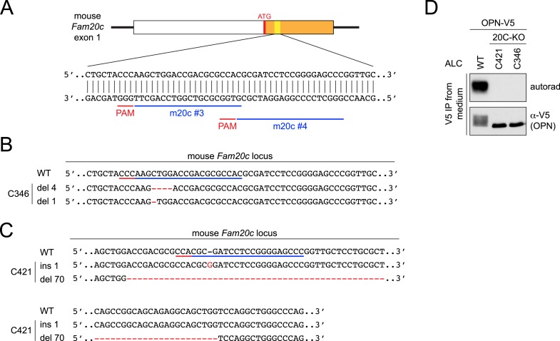 Figure 1—figure supplement 1.