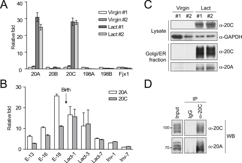 Figure 6.