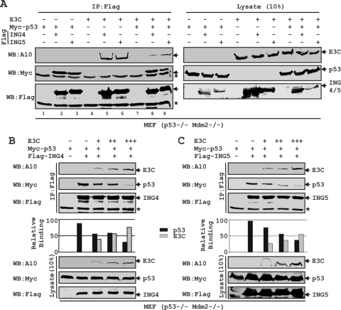 FIG. 4.