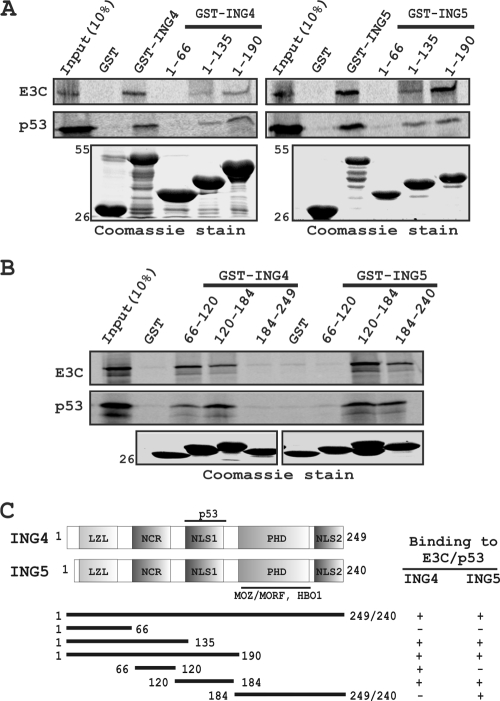 FIG. 5.