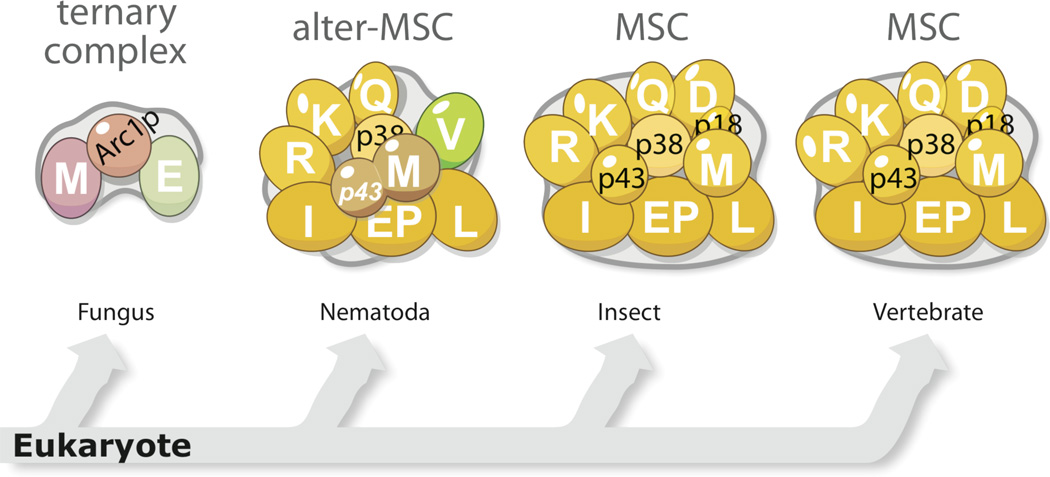 Figure 9