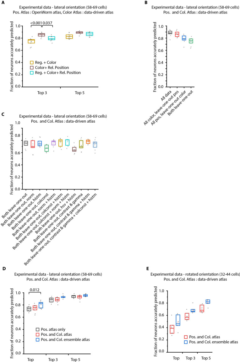 Figure 6—figure supplement 1.