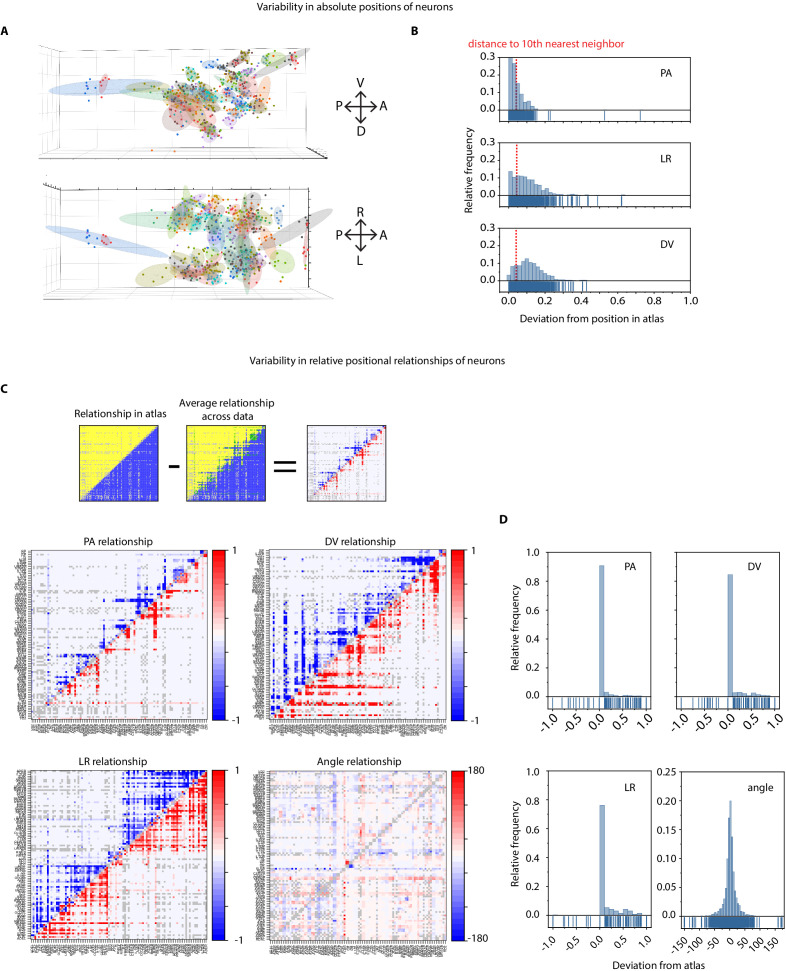 Figure 2—figure supplement 6.