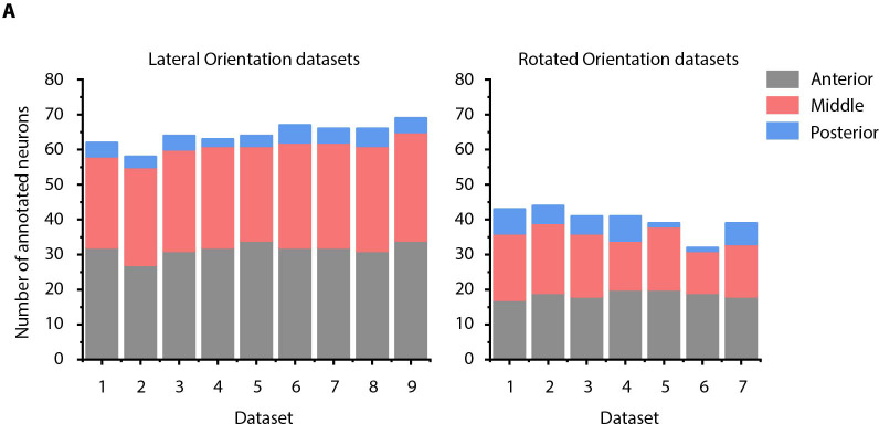 Figure 2—figure supplement 3.