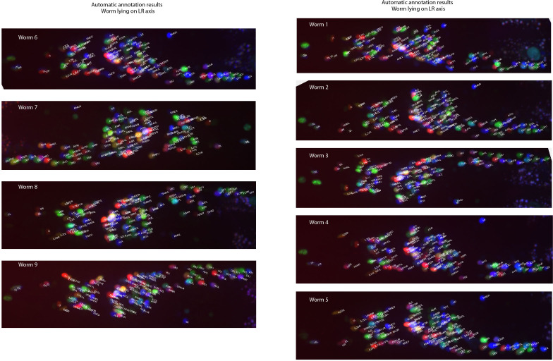 Figure 6—figure supplement 2.