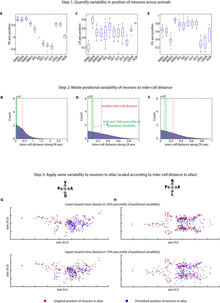 Figure 2—figure supplement 2.