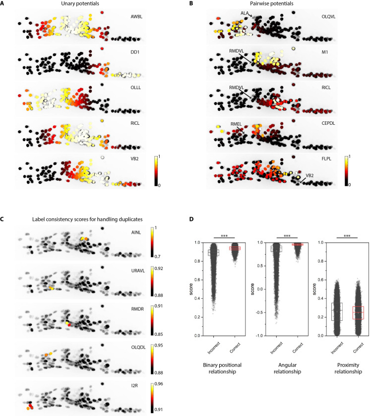 Figure 1—figure supplement 2.