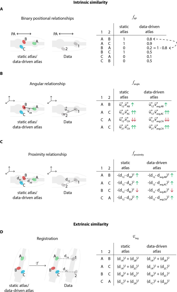 Figure 1—figure supplement 1.