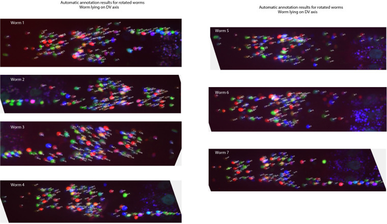 Figure 6—figure supplement 3.