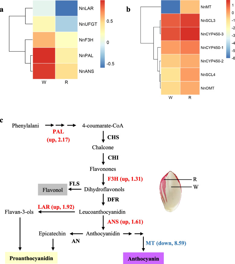 Fig. 4