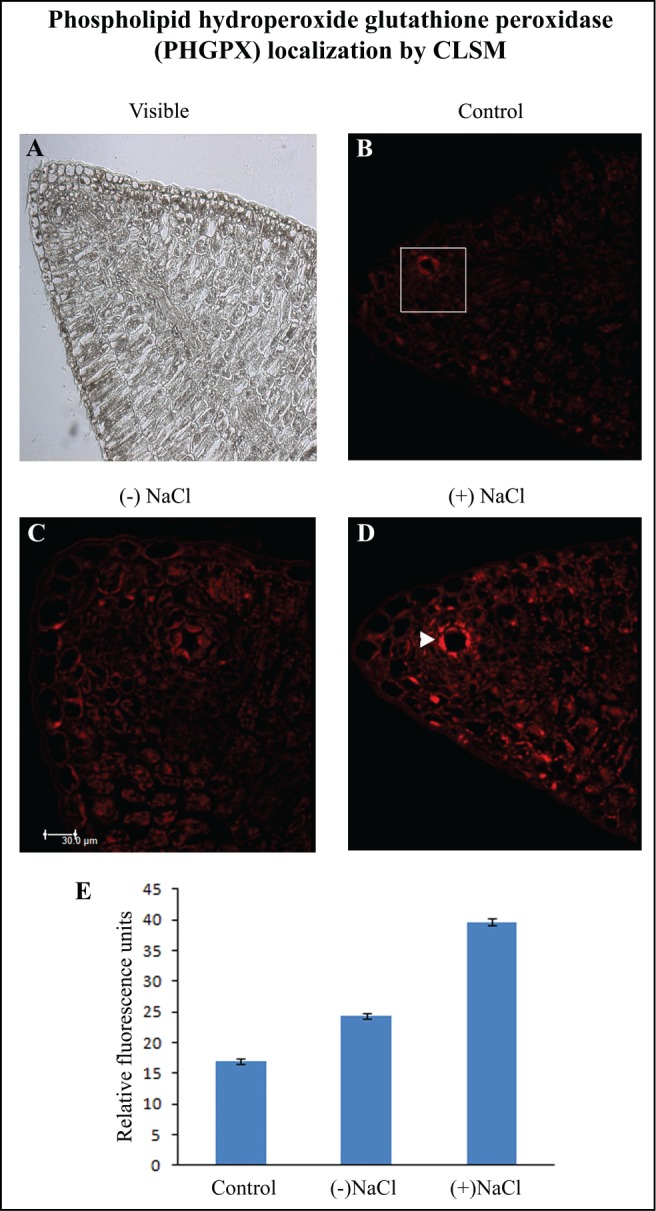 Figure 3.