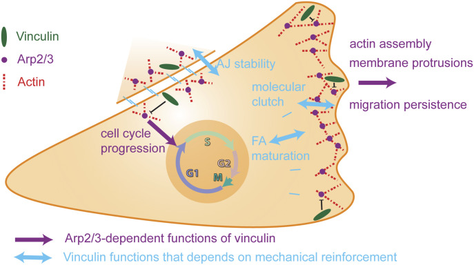 Figure 9.