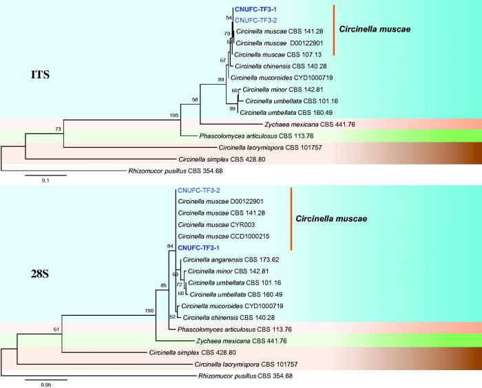 Figure 2.