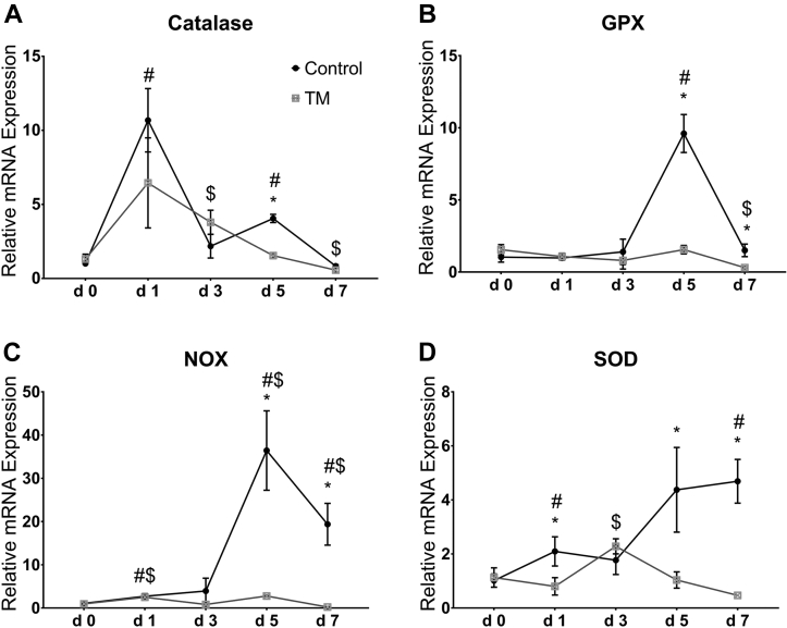 Figure 2