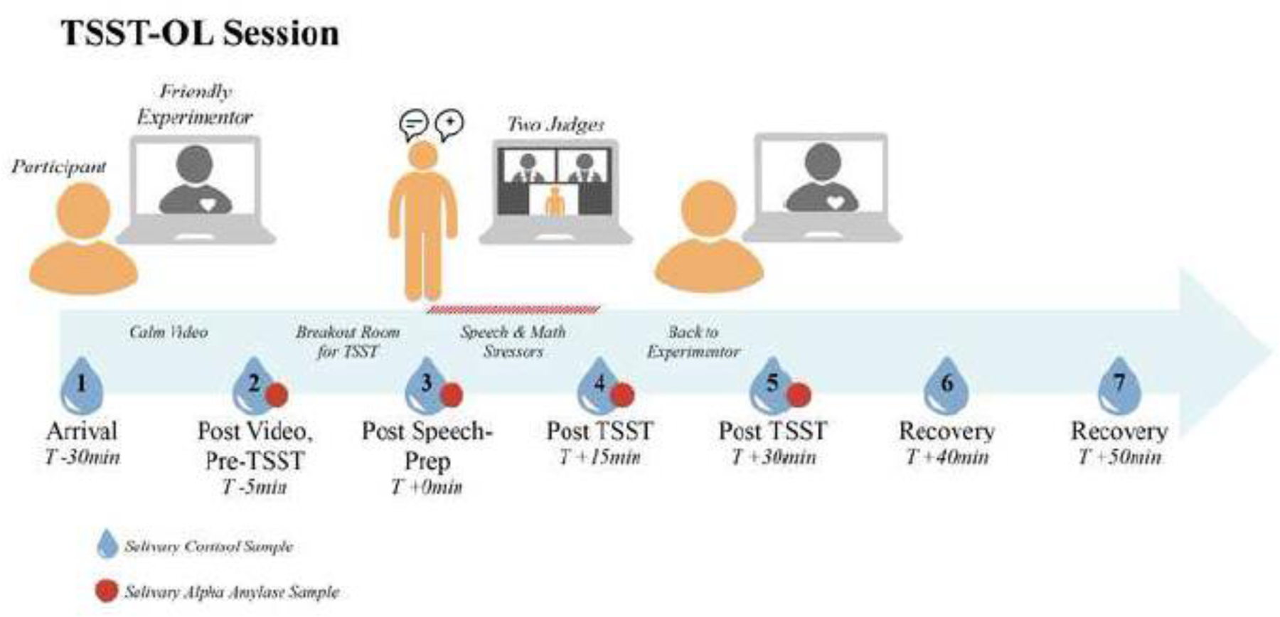 Figure 1: