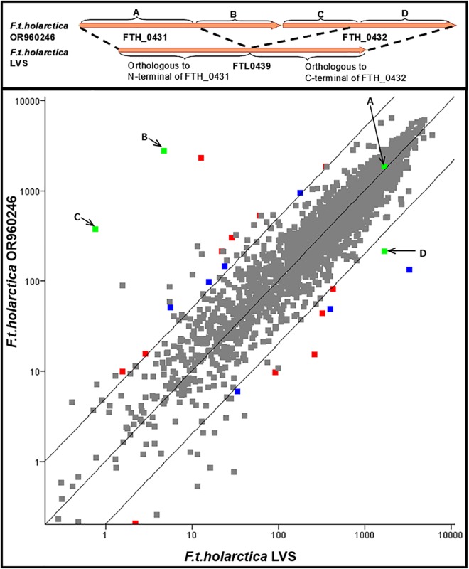 Fig 5