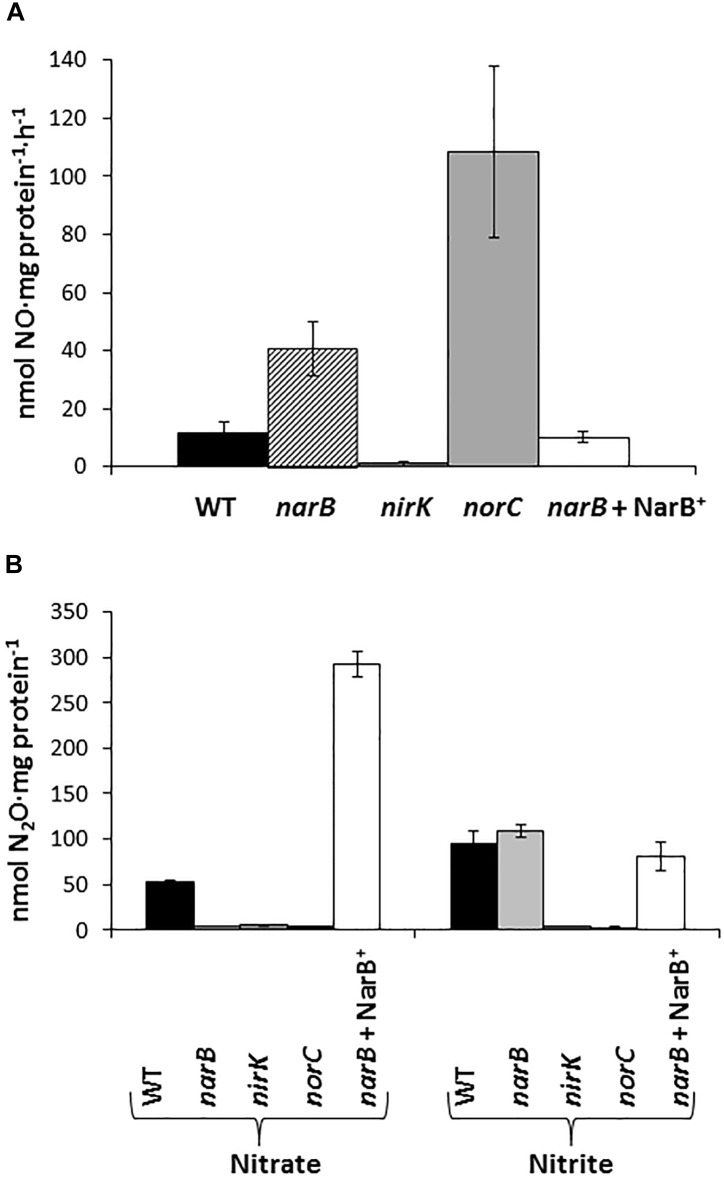 FIGURE 4