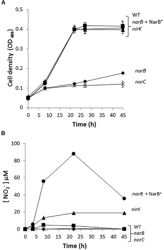 FIGURE 3