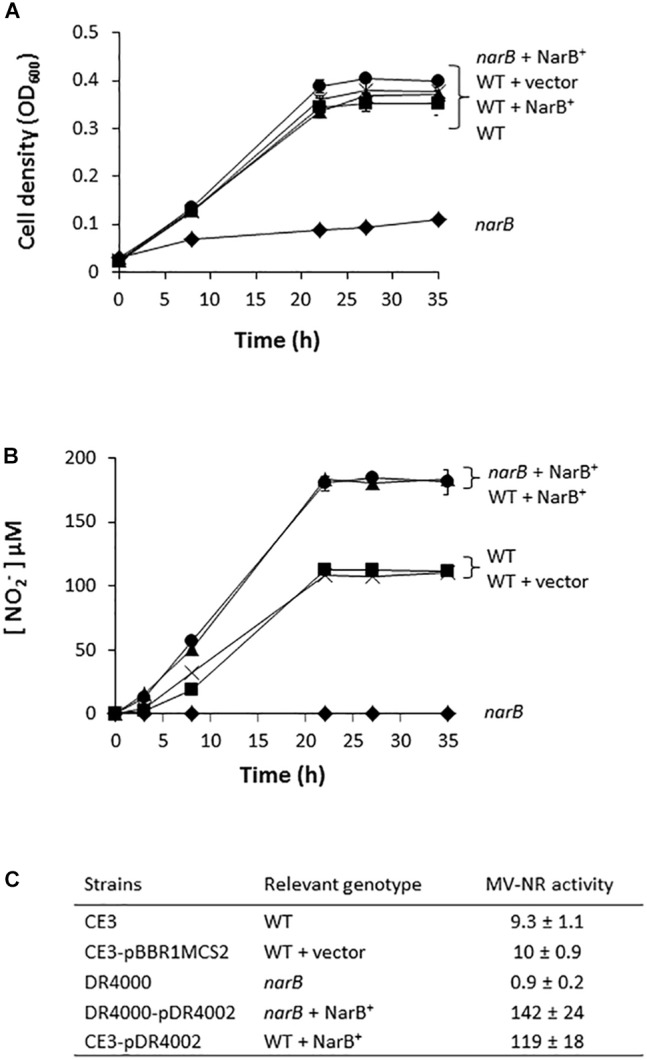 FIGURE 2