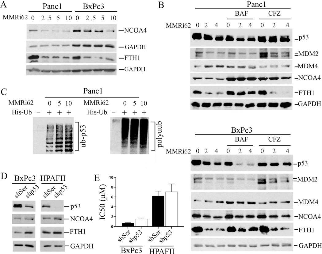 Fig.3