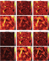 Extended Data Fig. 7