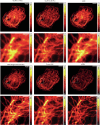 Extended Data Fig. 1