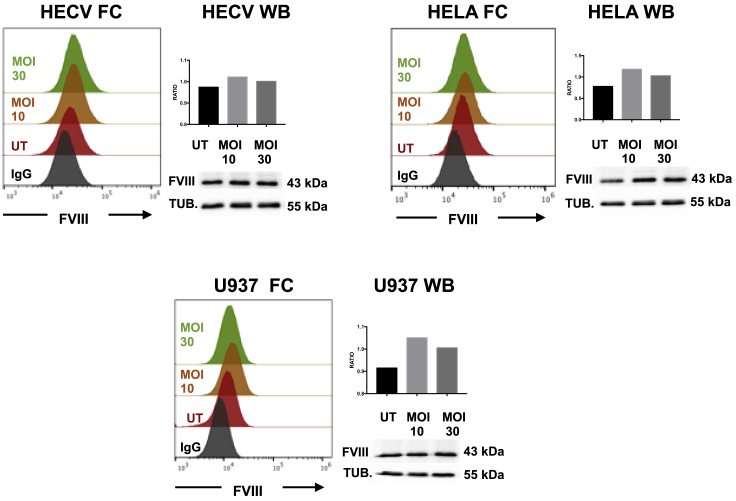 Figure 7