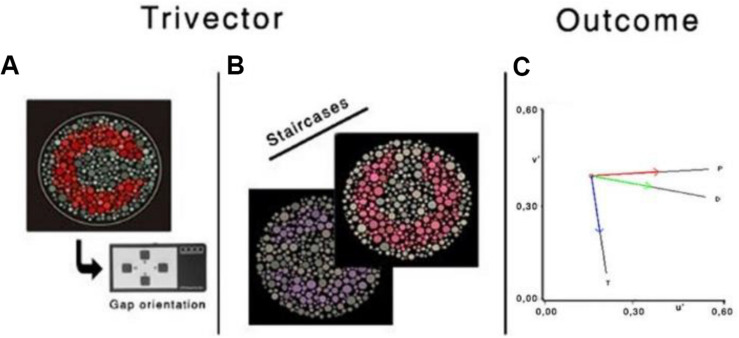 FIGURE 4