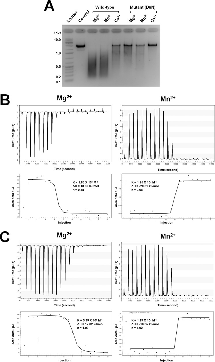 FIGURE 4.