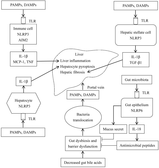 Figure 5.