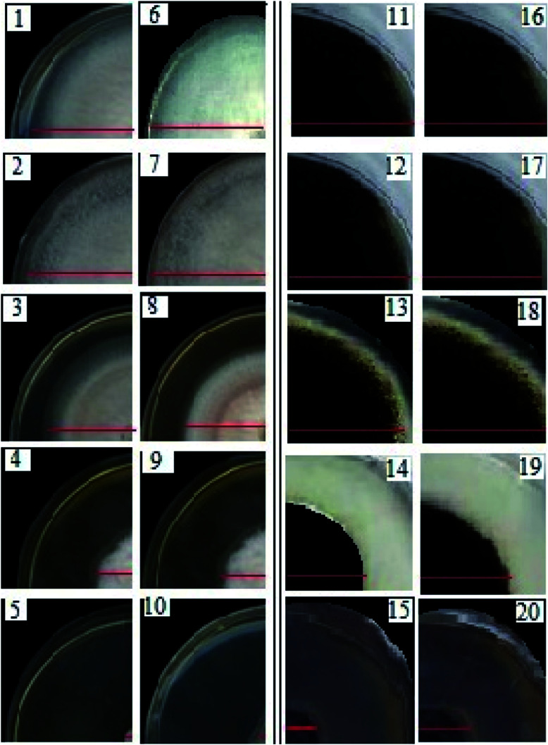 Fig. 7