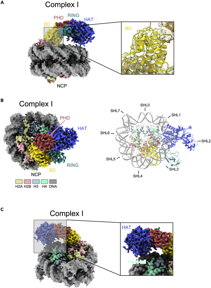 Figure 2