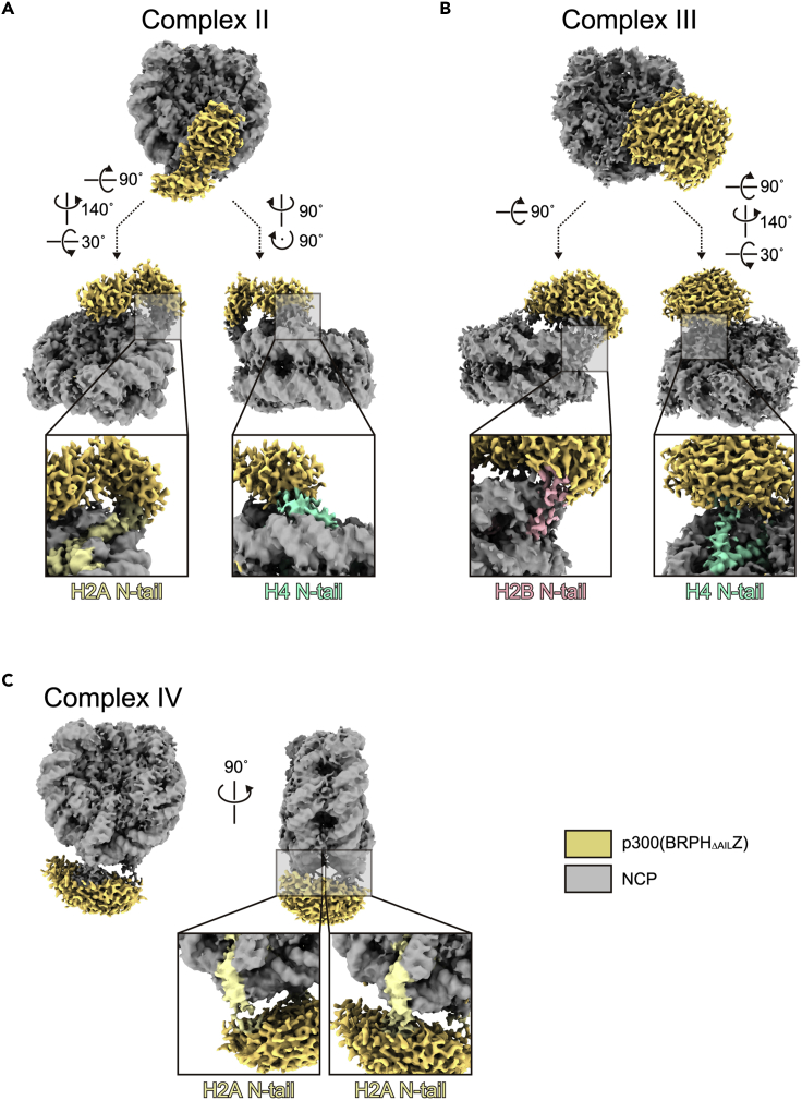 Figure 4