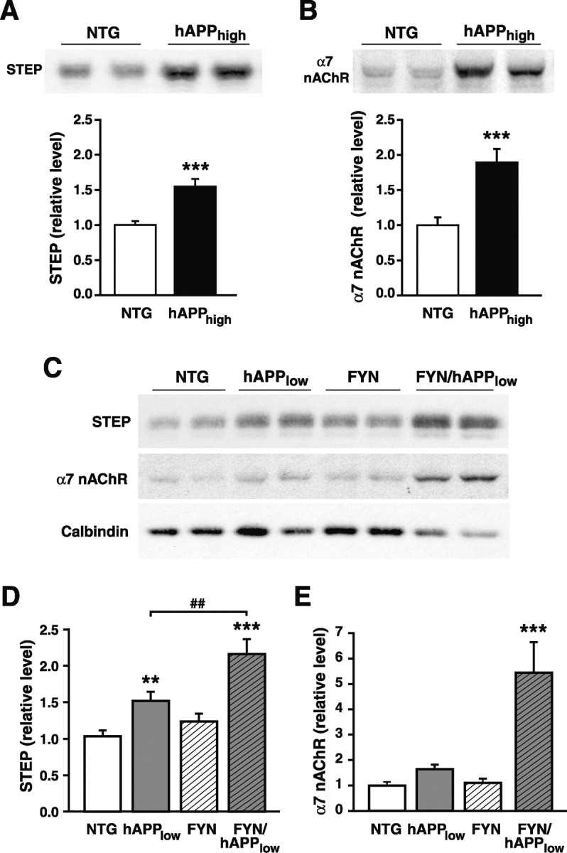 
Figure 9.
