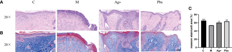 Figure 2