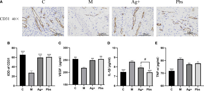 Figure 3