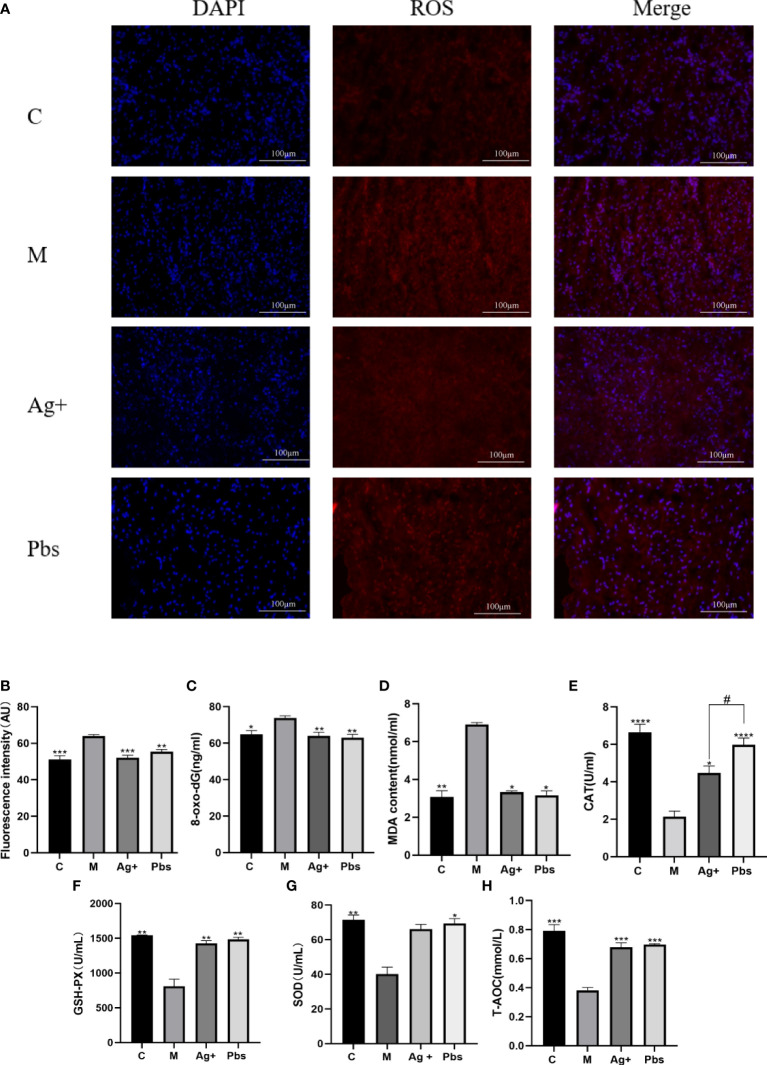 Figure 4