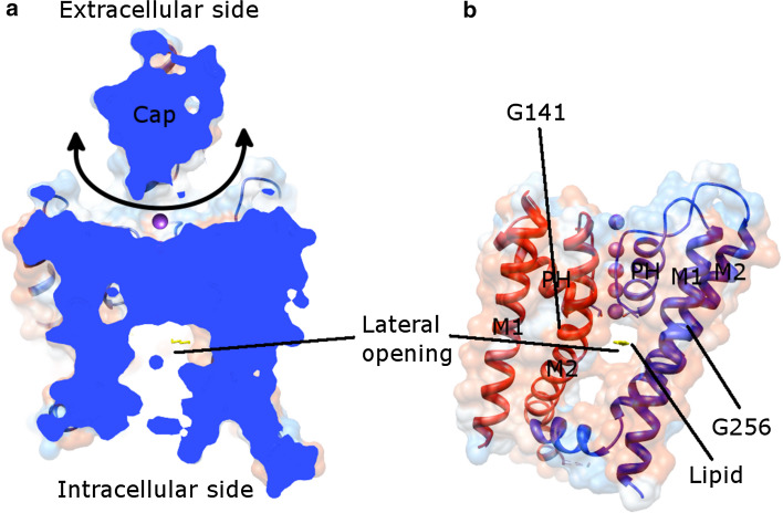 Fig. 7