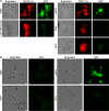 Fig 9