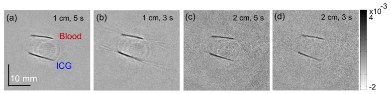 Fig. 5