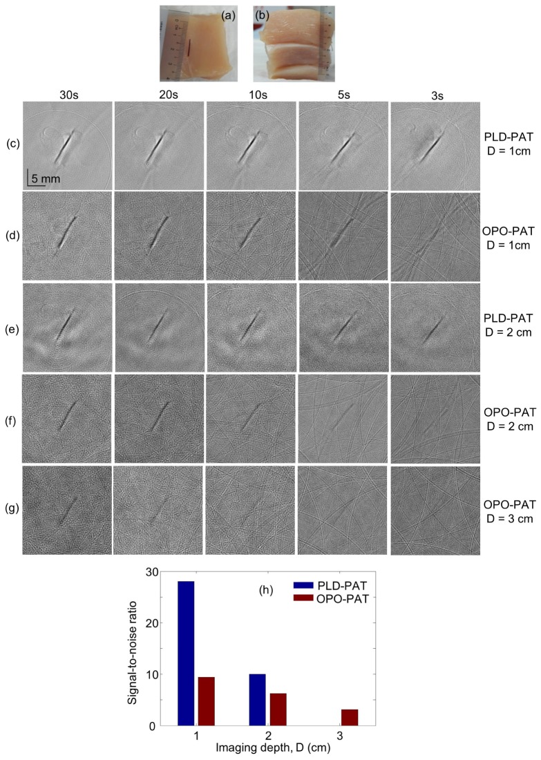 Fig. 4